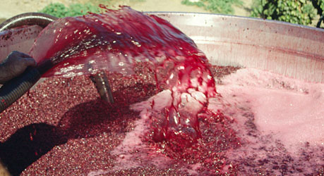 wine vat